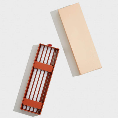 Glass Straws (set of 4)