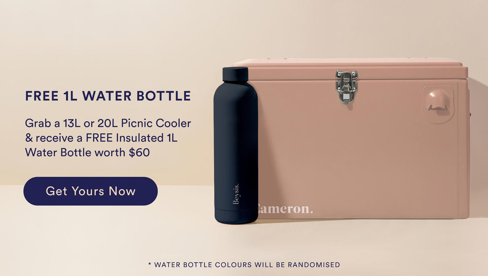 picnic cooler esky